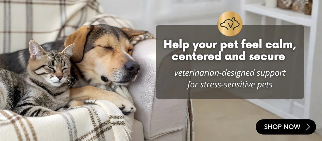 Cat and dog sleeping peacefully together on a cozy blanket, with banner text saying ‘Help your pet feel calm, centered and secure – veterinarian-designed support for stress-sensitive pets’. VetriScience calming support promotional banner.