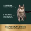 Calm & Confident Kaustangen für Katzen mit Huhn- und Forellengeschmack - 30 Stück