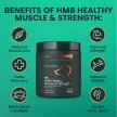 HMB Healthy Muscle & Strength Granules for Dogs - 60 Stück