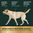 HMB Healthy Muscle & Strength Granules for Dogs - 60 Stück