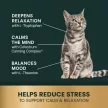 Vet Strength Calm & Confident Liquid for Dogs & Cats - 236,6 ml