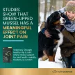 Vet Strength Healthy Hip & Joint Chews für Hunde, Hühnchengeschmack - 60 Stück, 660g
