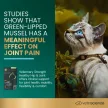 Vet Strength Healthy Hip & Joint Chews für Katzen mit Huhn - 60 Stück