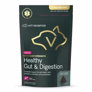   Vet Strength Healthy Gut & Digestion Chews für Hunde & Katzen - Entengeschmack, 60 Stück