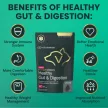 Vet Strength Healthy Gut & Digestion Chews für Hunde & Katzen - Entengeschmack, 60 Stück
