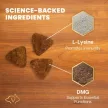 Extra Strength Lysine Immunity Health Chews für Katzen mit Hühnergeschmack - 120 Stk.