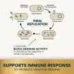 Extra Strength Lysine Immunity Health Chews für Katzen mit Hühnergeschmack - 120 Stk.