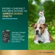 Vet Strength Gut & Bowel Support Chews für Hunde & Katzen, Geschmacksrichtung Ente - 60 Stück