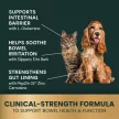 Vet Strength Gut & Bowel Support Chews für Hunde & Katzen, Geschmacksrichtung Ente - 60 Stück
