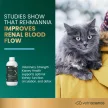 Vet Strength Kidney Health Liquid für Katzen
