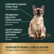 Vet Strength Kidney Health Liquid für Katzen