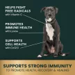 Immunity Health für kleine Hunde - 60 Stück