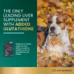 SAMe Liver Health 90 mg Tabletten für Hunde & Katzen - 30 Stück