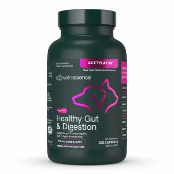   Healthy Gut & Digestion Kapseln für Katzen und Hunde - 120 Stück