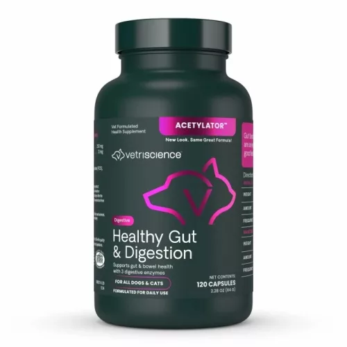 Healthy Gut & Digestion Kapseln für Katzen und Hunde - 120 Stück