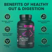 Healthy Gut & Digestion Kapseln für Katzen und Hunde - 120 Stück