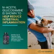 Healthy Gut & Digestion Kapseln für Katzen und Hunde - 120 Stück