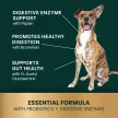 Healthy Gut & Digestion Kapseln für Katzen und Hunde - 120 Stück