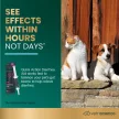 Quick Action Durchfallhilfe Paste für Hunde - 35 cc - 35 Stück