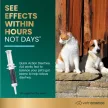 Quick Action Durchfallhilfe 60 cc Paste für Hunde & Katzen - 60 Stück