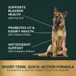Quick Action UT Health Kautabletten für Hunde - 90 Stück