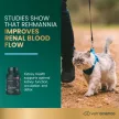 Kidney Health Tablets for Cats - 60pcs