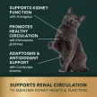 Kidney Health Tablets for Cats - 60pcs