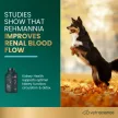 Nieren-Gesundheits-Tabletten für Hunde - 60 Stück