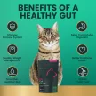 Gut Health Chews für Katzen mit Entengeschmack - 60 Stück