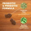 Gut Health Chews für Katzen mit Entengeschmack - 60 Stück