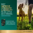Extra Strength Healthy Hip & Joint Chews für Hunde mit Hühnchengeschmack - 120 Stück