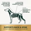 Healthy Spine & Disc Kapseln für Hunde - 180 Stück