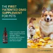 DMG Immunity Health für Hunde & Katzen - 30 ml