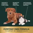 DMG Immunity Health für Hunde & Katzen - 30 ml