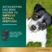 Eye & Vision Health Chews für Hunde mit Hühnergeschmack - 60 Stück