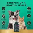 Omega Healthy Heart Kapseln für Hunde & Katzen - 90 Stück