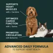 Vet Strength Healthy Heart Chews für Hunde & Katzen mit Hähnchengeschmack - 60 Stück