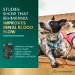 Vet Strength Kidney Health Chews für Hunde & Katzen, Huhn-Geschmack - 60 Stück