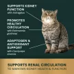 Kidney Health Chews für Katzen mit Huhn-Geschmack - 120 Stück