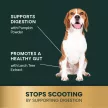 Scoot Control Sticks Chew for Dogs Duck Flavour - 40pcs