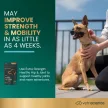 Extra Strength Healthy Hip & Joint Chews für kleine Hunde mit Hühnergeschmack - 60 Stück