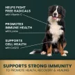 Immunity Health für mittelgroße und große Hunde - 120 Stück