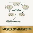 Lysine Immunity Health Chews für Katzen, Hühnergeschmack - 90 Stück