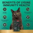 Lysine Immunity Health Chews für Katzen mit Huhn - 120 Stk.