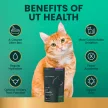 UT Health Chews for Cats Chicken Flavor - 60 Stück