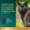 UT Health Chews for Cats Chicken Flavor - 60 Stück
