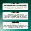 Ultimate Strength Lysine Immunity Health Granules for Cats - 60 Stück