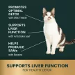 Liver Health Chews für Katzen Huhn Geschmack - 120 Stück