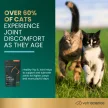 Healthy Hip & Joint Chews für Katzen mit Huhn-Geschmack - 60 Stück
