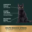 Calm and Confident Liquid für Hunde & Katzen - 236,6 ml